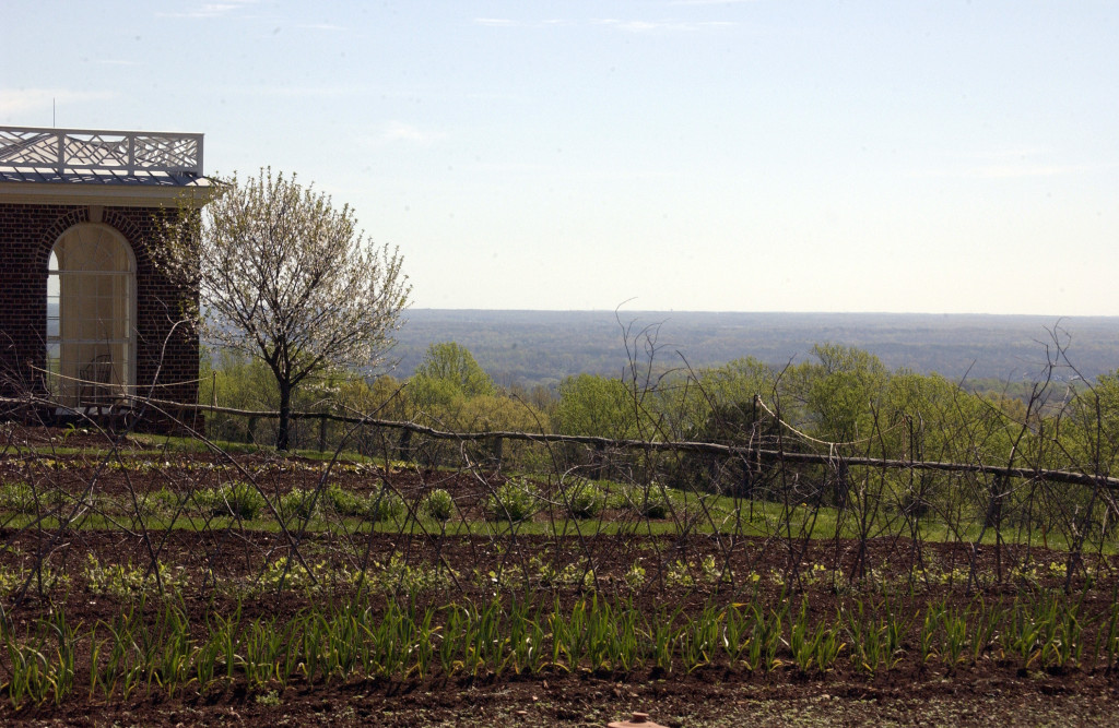 Monticello Into the Woods